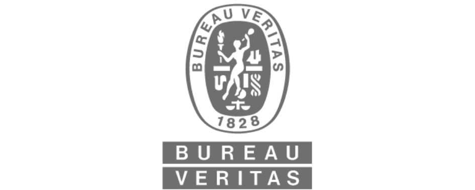 5_Logo BUREAU VERITAS